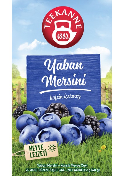 Yaban Mersini Karışık Meyve Çayı - 40 gr