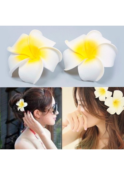 1 Çift 1 Çift Lot Hawai Köpüklü Tac Çiçek Gelinlik Düğün Saç Aksesuarları Parti Saç Tokası Beyaz Plumeria (Yurt Dışından) fiyatları
