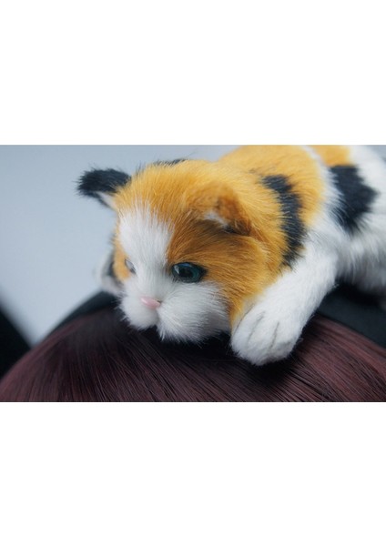 Çok Renkli Stil Kadın Moda Saç Aksesuarları Sevimli Kedi Taç Bayan ve Kızlar Tatlı Parti Saç Bandı Yün Keçe Peluş Oyuncaklar Sevimli Saç Aksesuarları Hayvan Simülasyon El Sanatları (Yurt Dışından) indirimleri