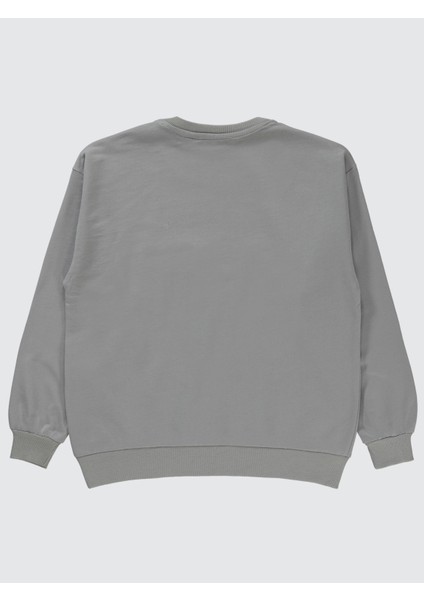 Erkek Çocuk Sweatshirt 10-13 Yaş Gri fiyatları