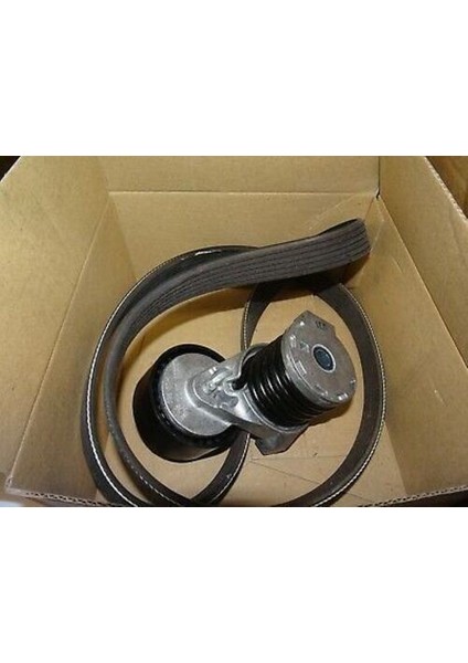 Renault-Mais-Orjinal 117201925R Alternatör Kayış Kiti Dacia Duster Xjd 17- 117201925R