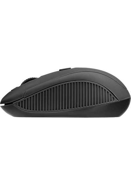 SM-300 Usb Siyah 4D Optik Alkalin Pil Kablosuz Mouse
