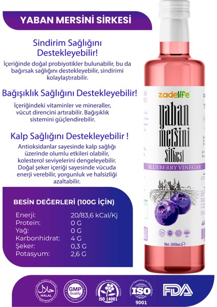 C Vitamini Kaynağı Yaban Mersini Sirkesi 500 ml