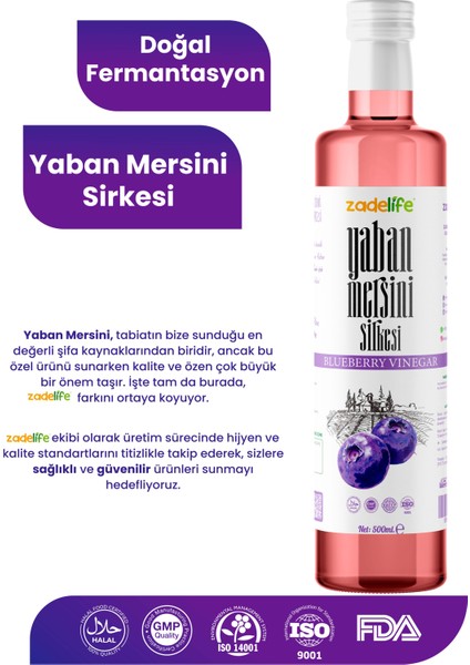 C Vitamini Kaynağı Yaban Mersini Sirkesi 500 ml