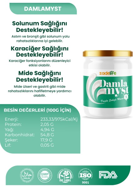 Damlamyst Damla Sakızı Macunu 240 gr fiyatları