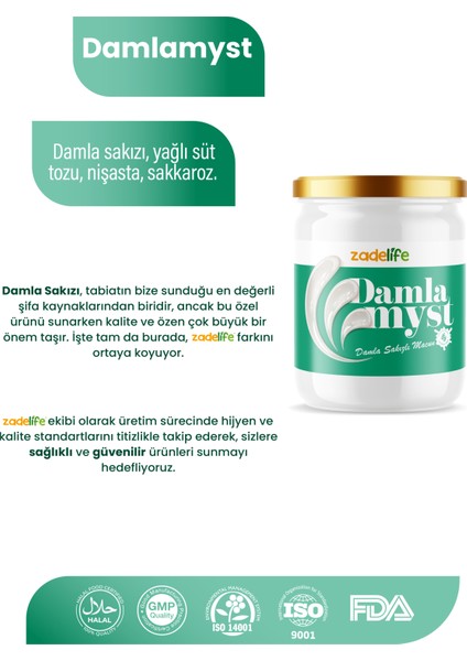 Damlamyst Damla Sakızı Macunu 240 gr modelleri