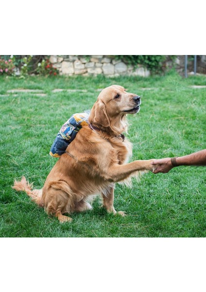 Kedi Köpek Kurulama Havlusu Süper Su Emici Tüm Irk Köpekler ve Kediler Için Çiş Alezi Hediyeli