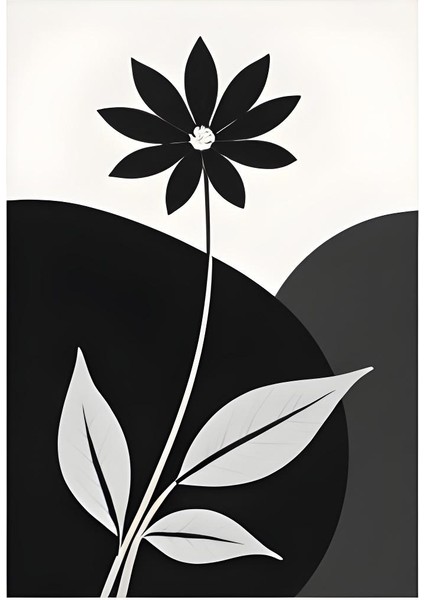Matisse - Boho - Art Deco - Soyut - Doğa ( 3 Lü Çerçevesiz ) Poster - Afiş - Tablo KR2C01001/ fiyatları