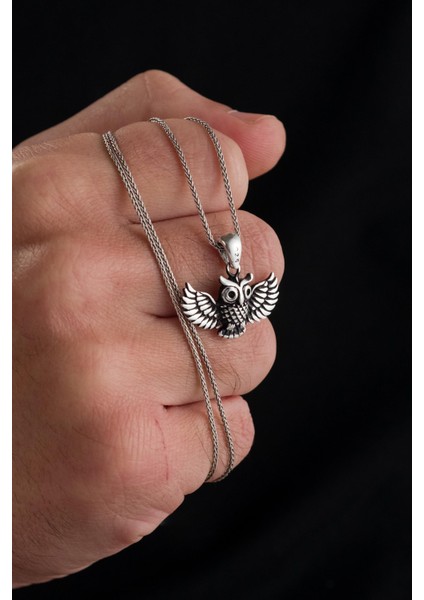 Gümüş Baykuş Owl Erkek Kolye fiyatları