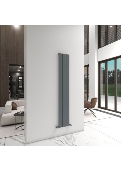 Angers Dikey Alüminyum Radyatör Modern Tasarım Açık Gri 180X29,5 cm