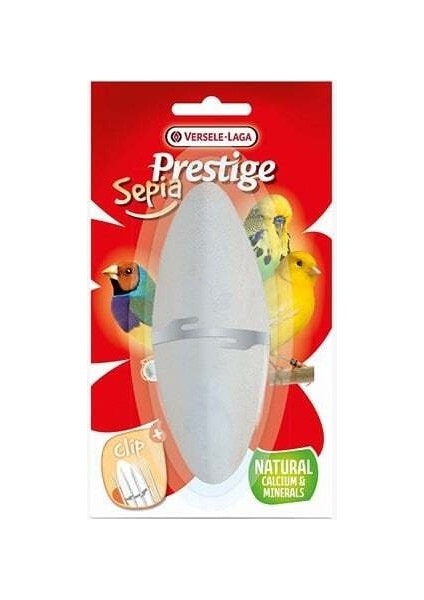 Prestige Sepia Mineral Mürekkep Balığı Kemiği 12 cm