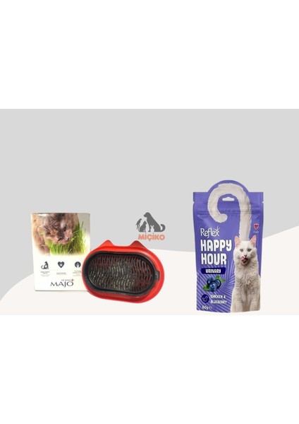 Kediler Için Ödül Seti2 (Kemik Sağlığı Ödülü + Plastik Kaplı Kedi Çimi Topraksız)