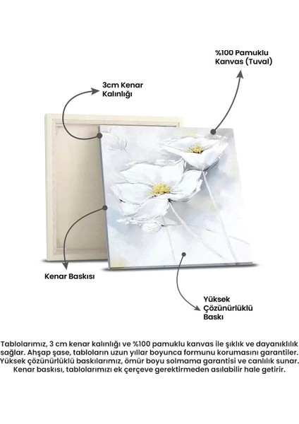 Soyut Beyaz Çiçekler Kanvas Tablo