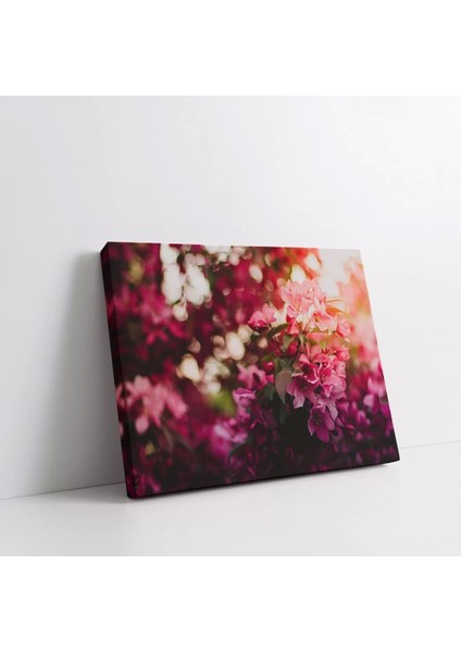 Ebegümeci Kanvas Tablo fiyatları