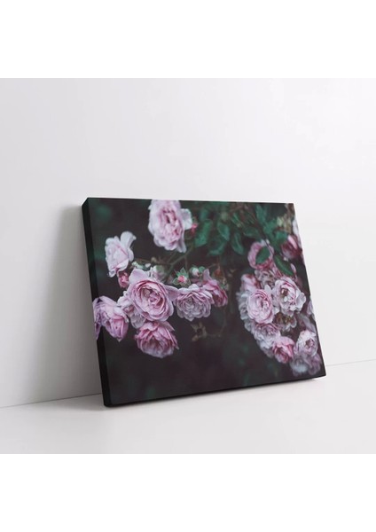 Pembe Güller Tarlası Kanvas Tablo fiyatları
