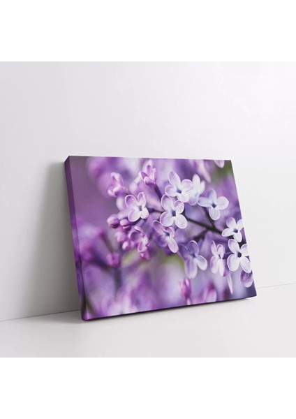 Daldaki Mor Çiçekler Kanvas Tablo fiyatları