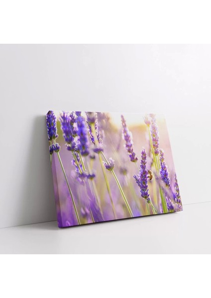 Lavanta Bahçesi Kanvas Tablo fiyatları