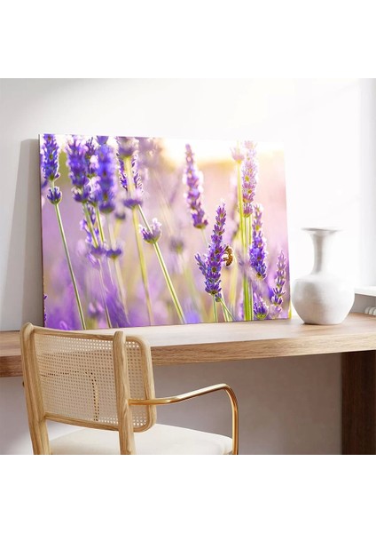 Lavanta Bahçesi Kanvas Tablo modelleri