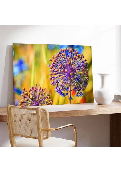 Karahindiba Kanvas Tablo modelleri