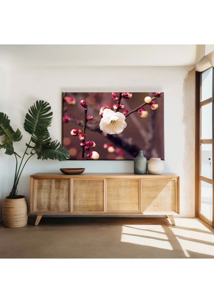 Kiraç Çiçeği Kanvas Tablo