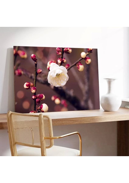 Kiraç Çiçeği Kanvas Tablo modelleri