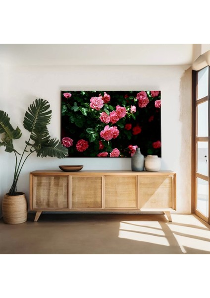 Pembe Gül Çiçekleri Kanvas Tablo