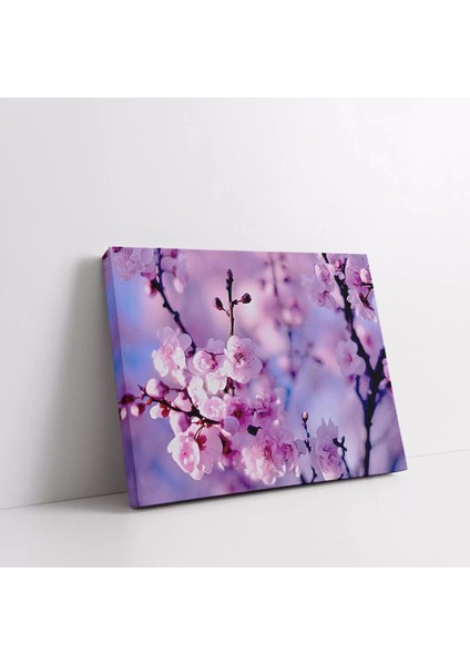 Şeftali Çiçeği Kanvas Tablo fiyatları