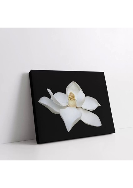 Orkide Kanvas Tablo fiyatları