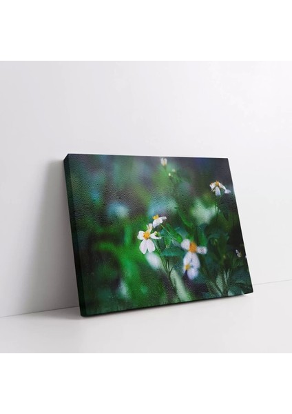 Papatya Kanvas Tablo fiyatları