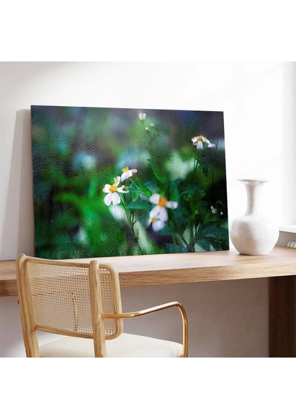 Papatya Kanvas Tablo modelleri