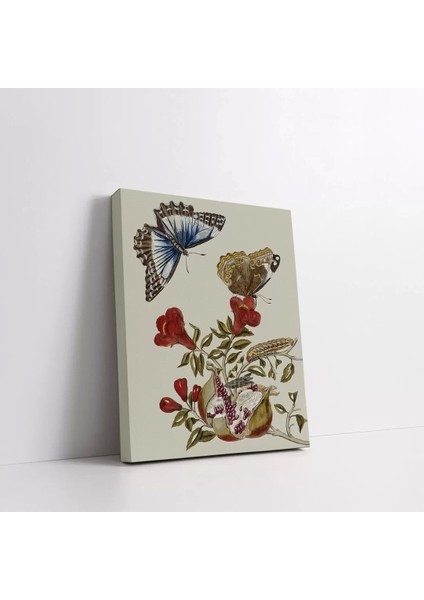 Uçan Kelebek Kanvas Tablo fiyatları