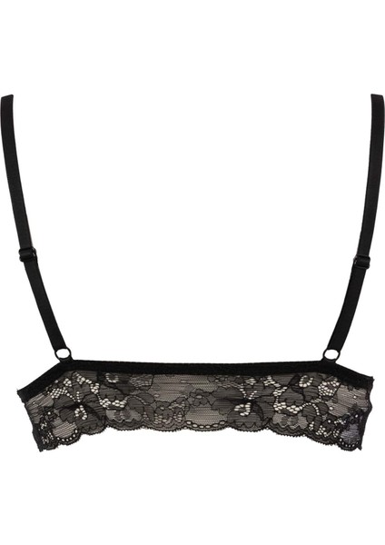 Fall in Love Dantelli Pedli Bra R6569AZ23AU modelleri