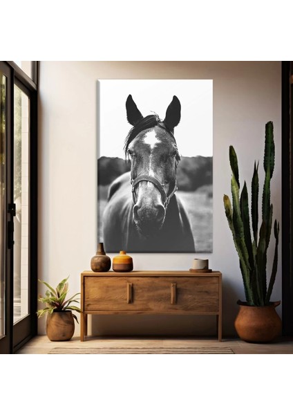 Siyah Beyaz At Kanvas Tablo
