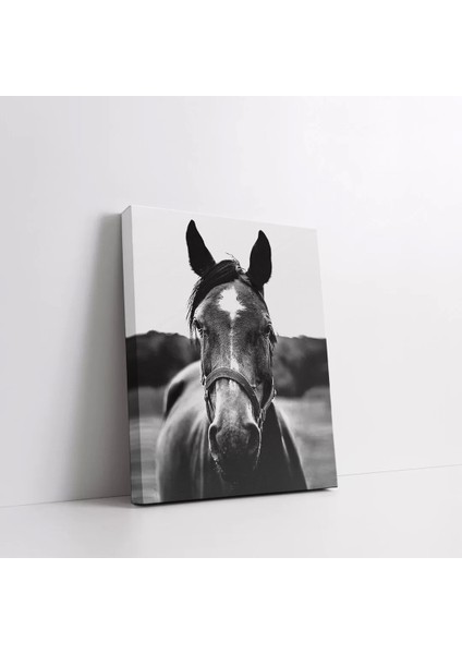 Siyah Beyaz At Kanvas Tablo fiyatları