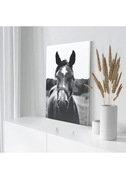 Siyah Beyaz At Kanvas Tablo modelleri
