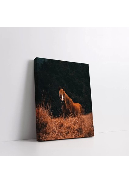 Kahverengi Asil At Kanvas Tablo fiyatları