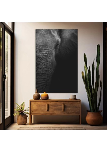 Siyah Fil Kanvas Tablo