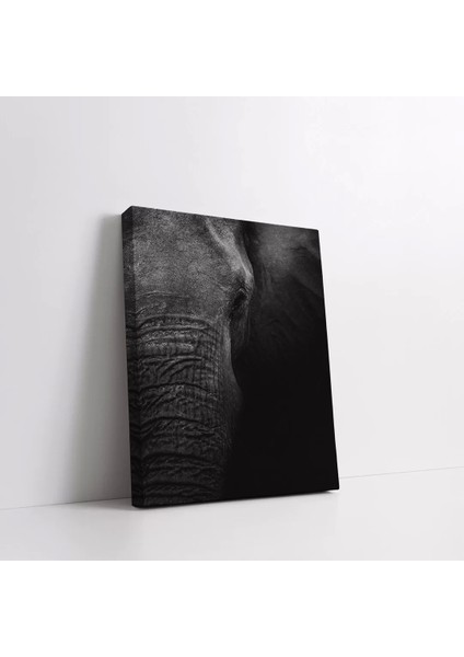 Siyah Fil Kanvas Tablo fiyatları