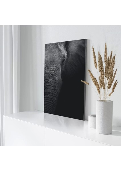 Siyah Fil Kanvas Tablo modelleri