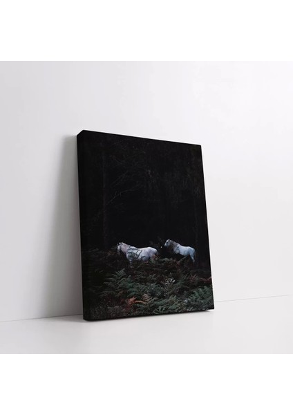 Ormandaki Atlar Kanvas Tablo fiyatları