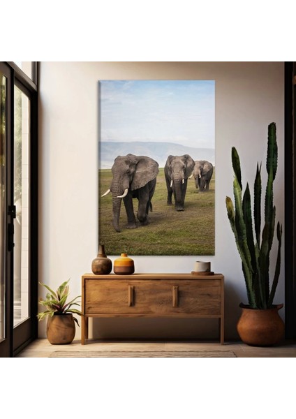 Doğadaki Filler Kanvas Tablo