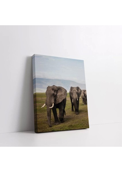 Doğadaki Filler Kanvas Tablo fiyatları