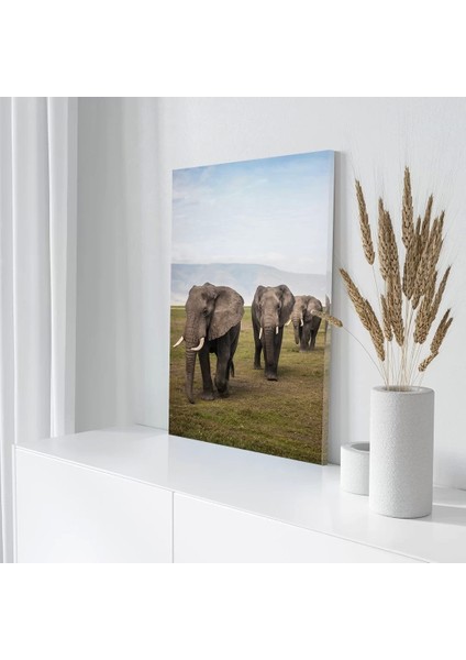 Doğadaki Filler Kanvas Tablo modelleri