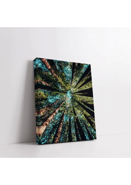 Sonbahar Akışı Kanvas Tablo fiyatları