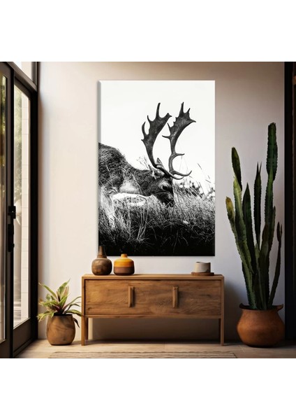 Siyah Beyaz Geyik Kanvas Tablo