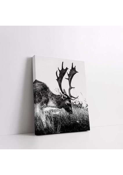 Siyah Beyaz Geyik Kanvas Tablo fiyatları