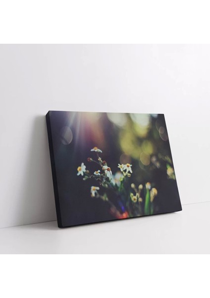 Dallardaki Papatya Kanvas Tablo fiyatları