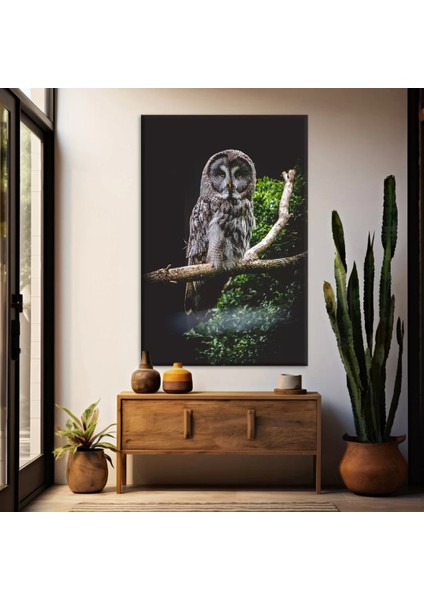 Dalda Oturan Baykuş Kanvas Tablo