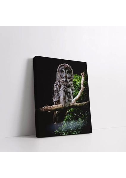 Dalda Oturan Baykuş Kanvas Tablo fiyatları