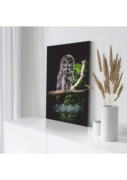 Dalda Oturan Baykuş Kanvas Tablo modelleri